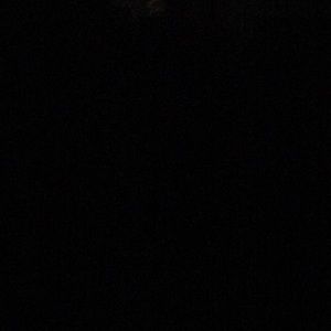 Meet your Posher, Gingi